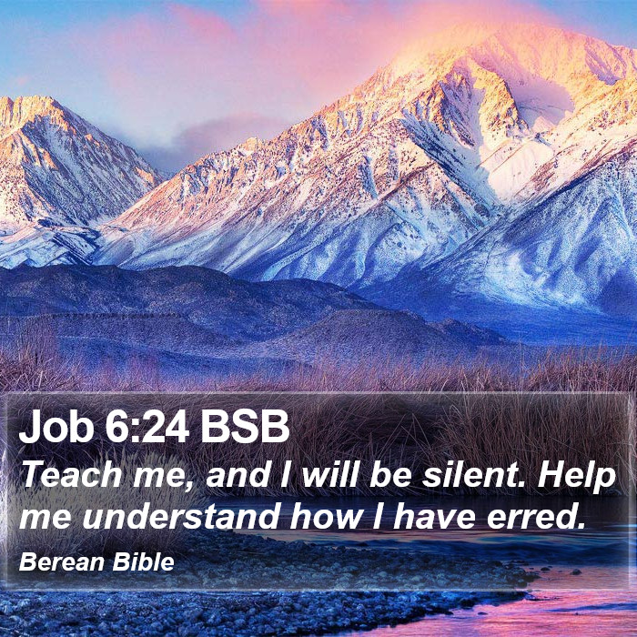 Job 6:24 BSB Bible Study