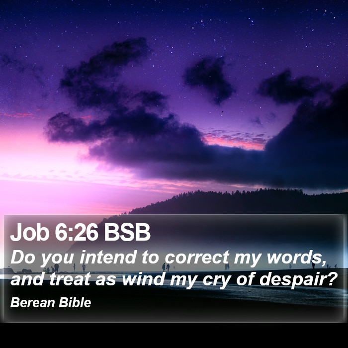 Job 6:26 BSB Bible Study