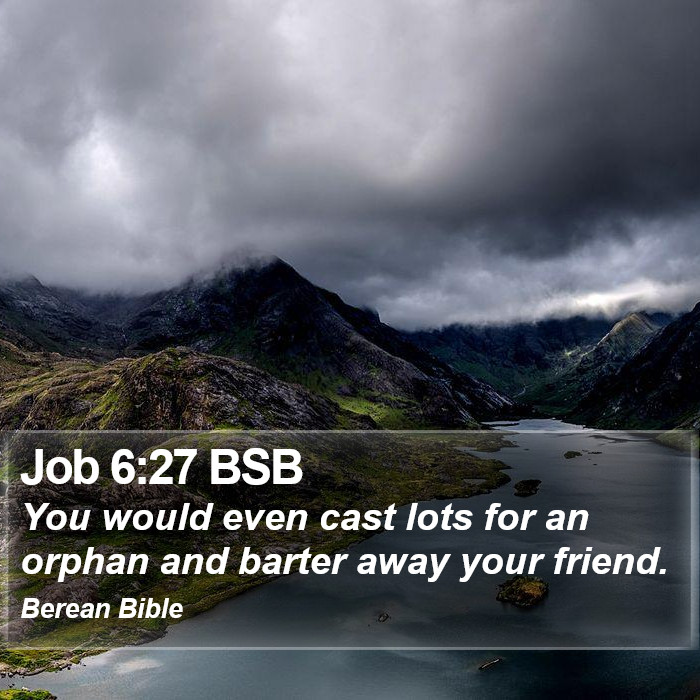 Job 6:27 BSB Bible Study