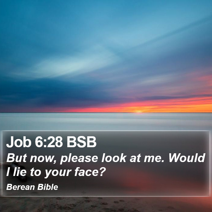 Job 6:28 BSB Bible Study