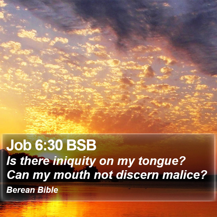 Job 6:30 BSB Bible Study