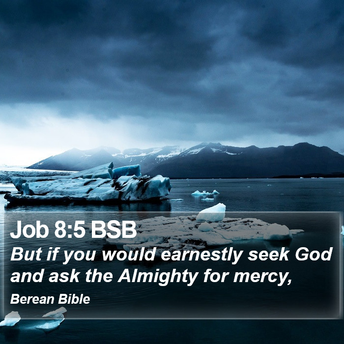 Job 8:5 BSB Bible Study