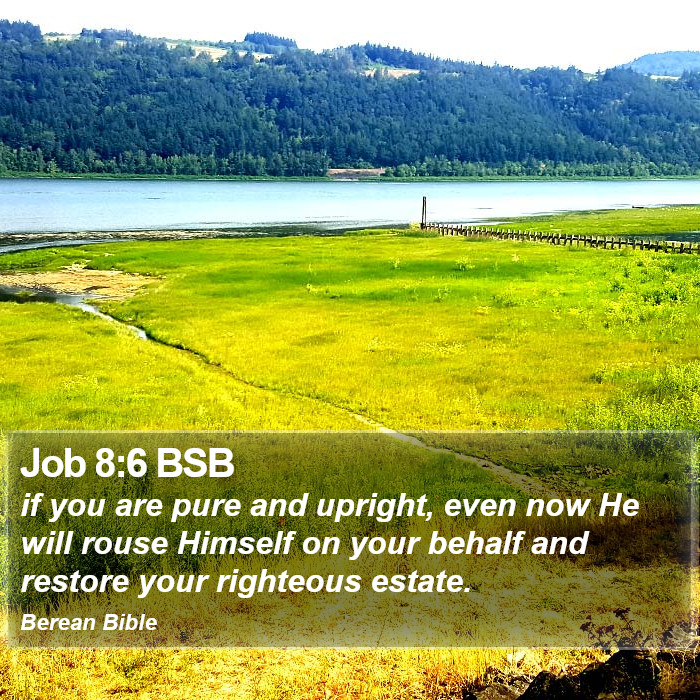 Job 8:6 BSB Bible Study