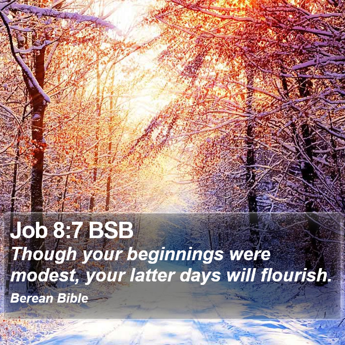 Job 8:7 BSB Bible Study