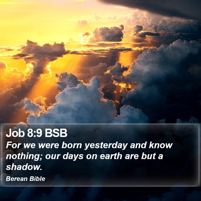 Job 8:9 BSB Bible Study