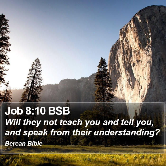 Job 8:10 BSB Bible Study