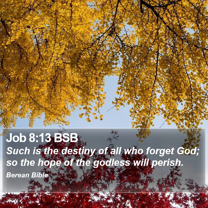 Job 8:13 BSB Bible Study