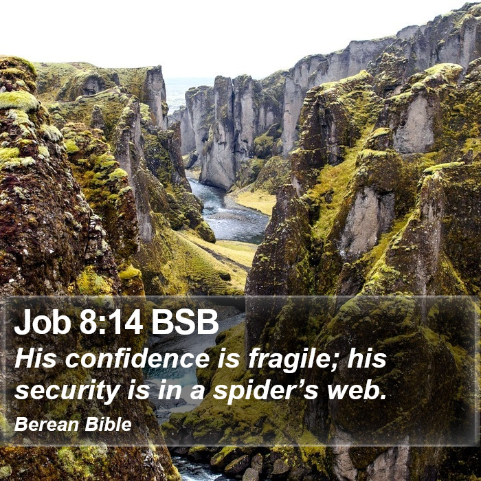 Job 8:14 BSB Bible Study