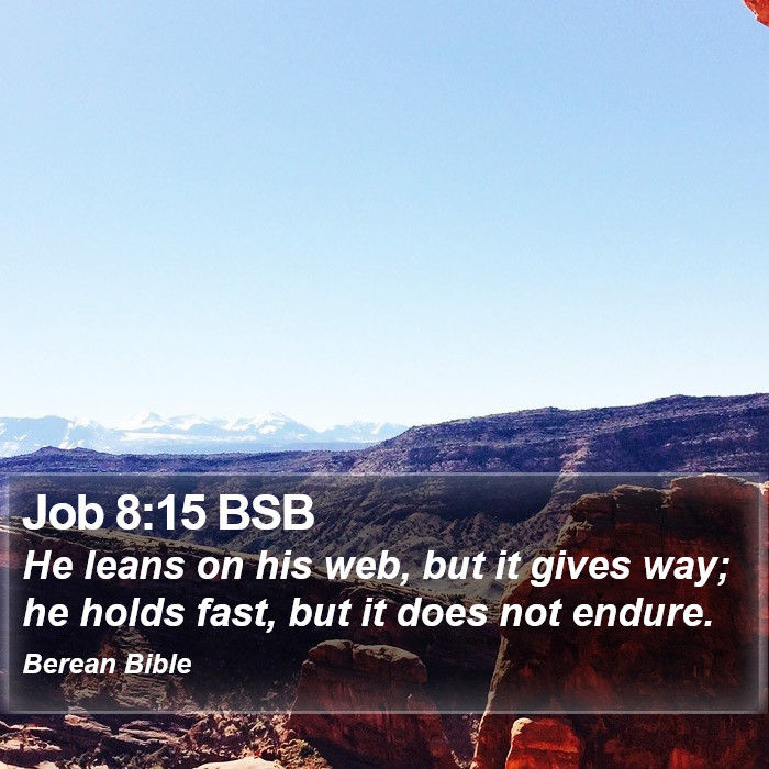 Job 8:15 BSB Bible Study