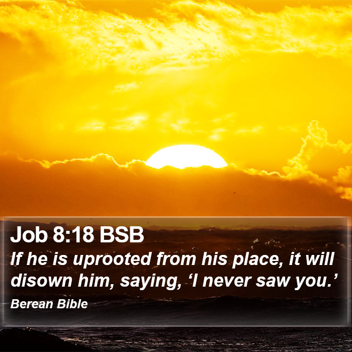 Job 8:18 BSB Bible Study