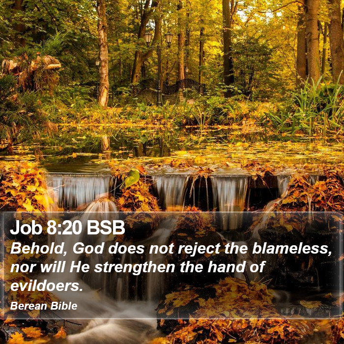 Job 8:20 BSB Bible Study