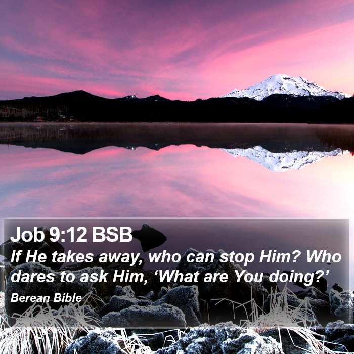 Job 9:12 BSB Bible Study