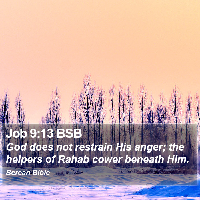 Job 9:13 BSB Bible Study