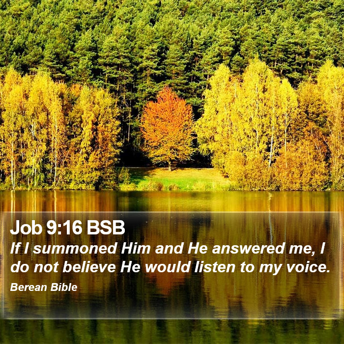 Job 9:16 BSB Bible Study