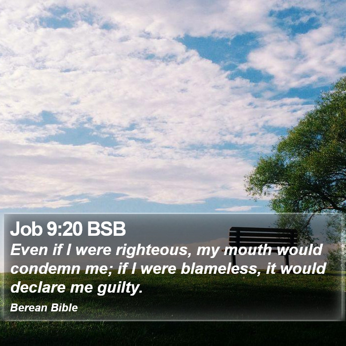 Job 9:20 BSB Bible Study