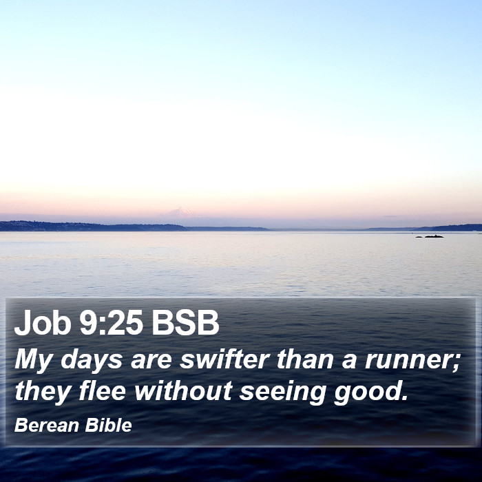 Job 9:25 BSB Bible Study