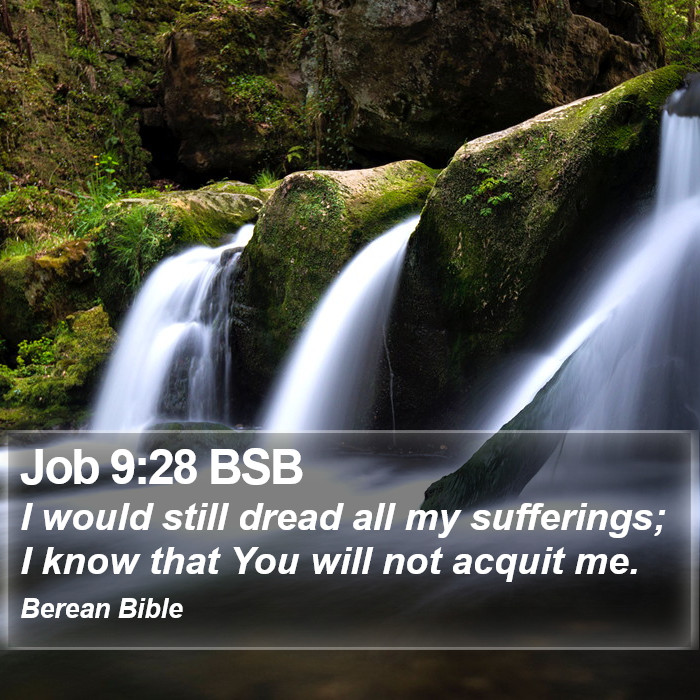 Job 9:28 BSB Bible Study