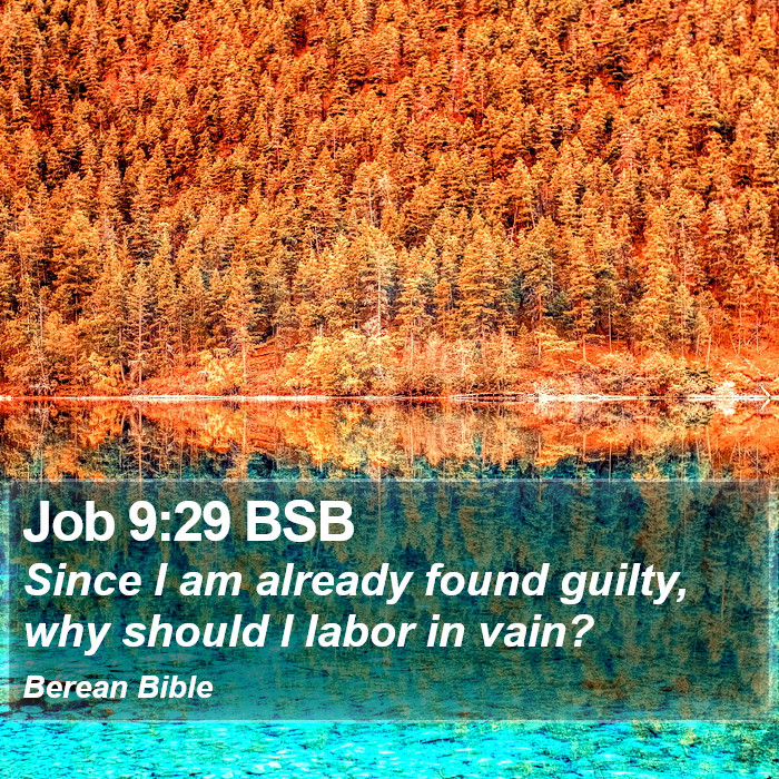 Job 9:29 BSB Bible Study