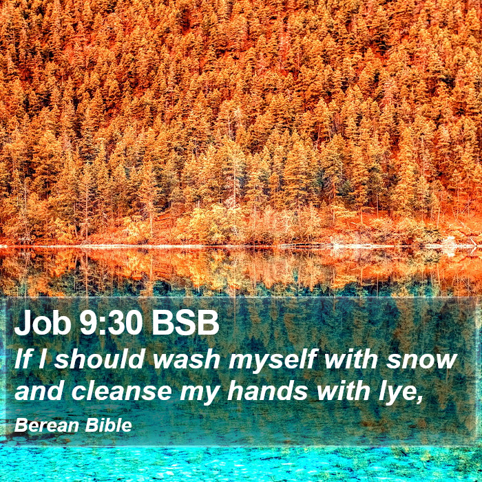 Job 9:30 BSB Bible Study