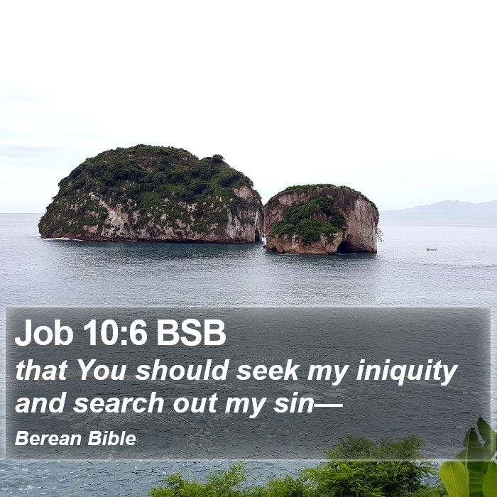 Job 10:6 BSB Bible Study