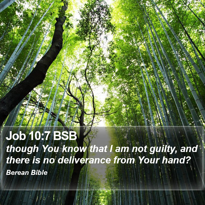 Job 10:7 BSB Bible Study