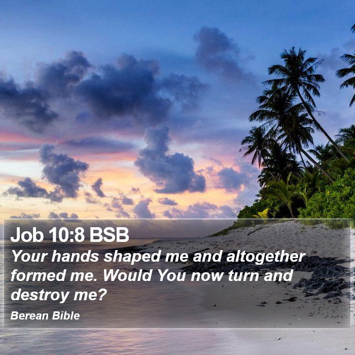 Job 10:8 BSB Bible Study