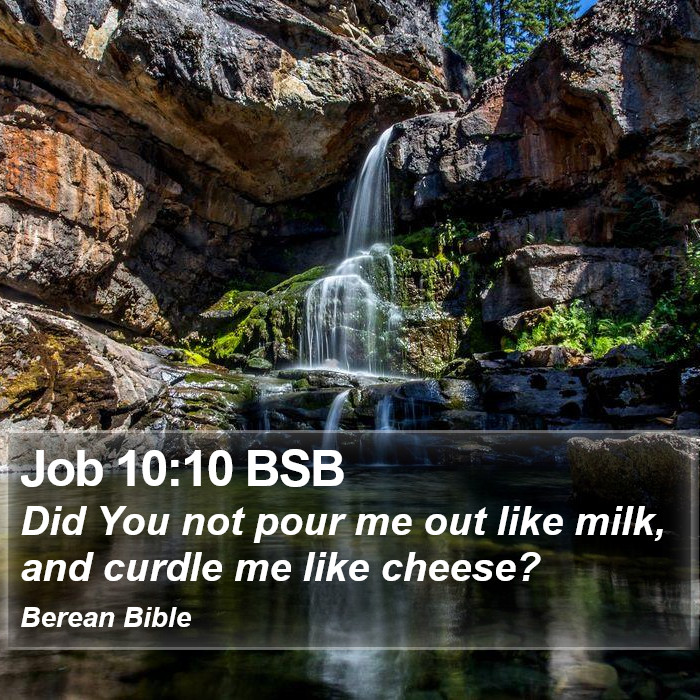 Job 10:10 BSB Bible Study