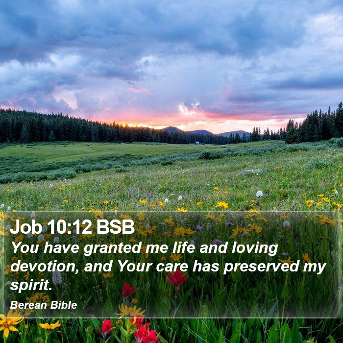 Job 10:12 BSB Bible Study