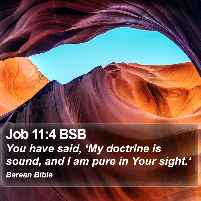 Job 11:4 BSB Bible Study