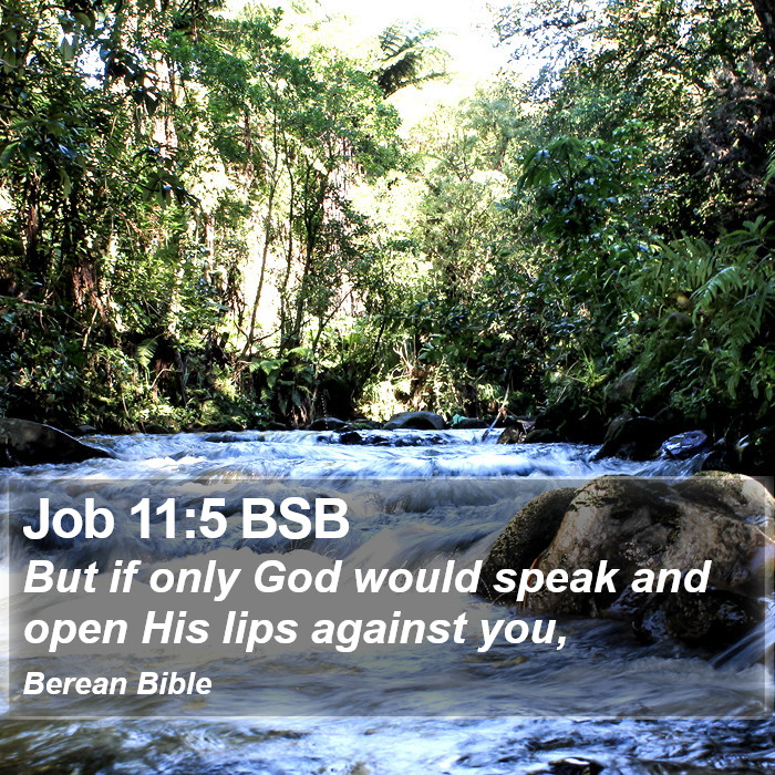 Job 11:5 BSB Bible Study