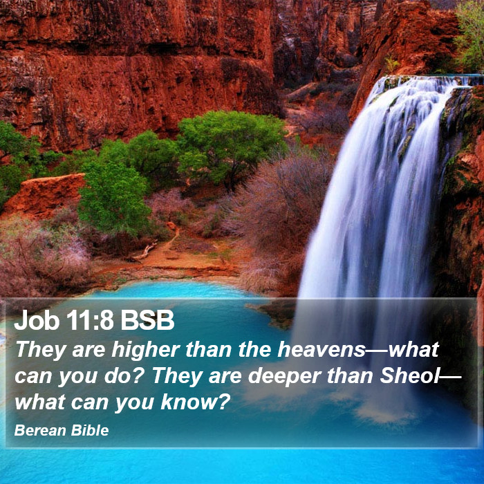 Job 11:8 BSB Bible Study