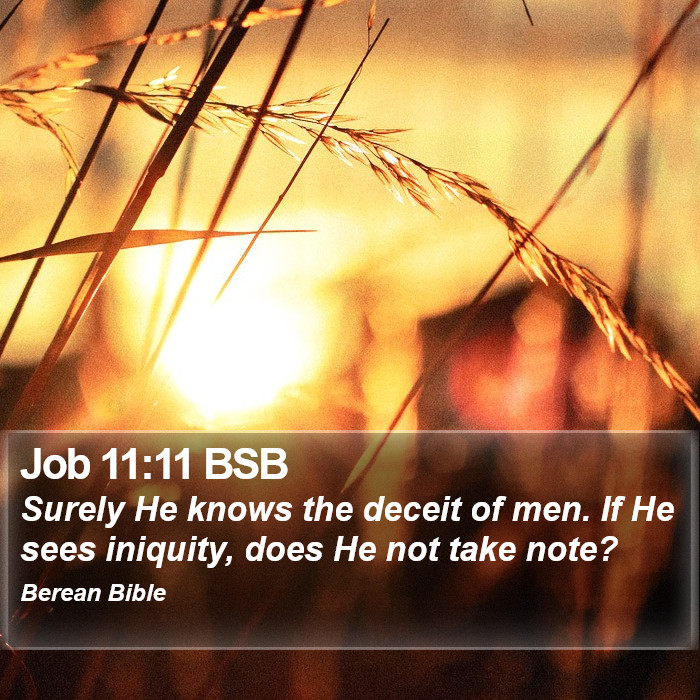 Job 11:11 BSB Bible Study