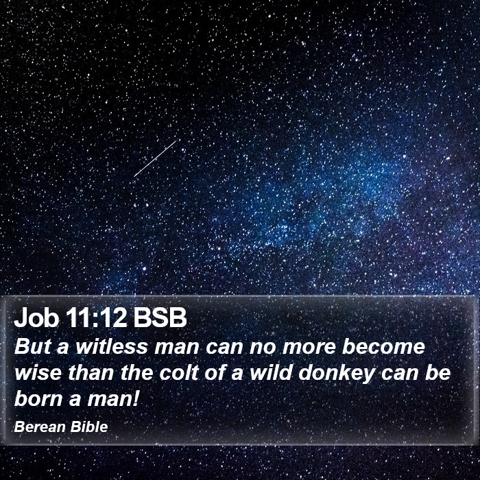 Job 11:12 BSB Bible Study