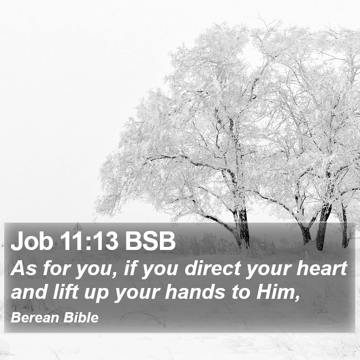 Job 11:13 BSB Bible Study