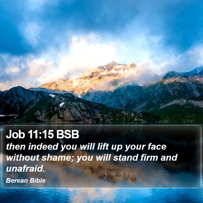 Job 11:15 BSB Bible Study