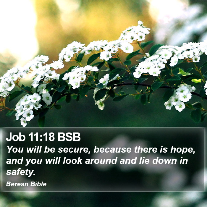 Job 11:18 BSB Bible Study