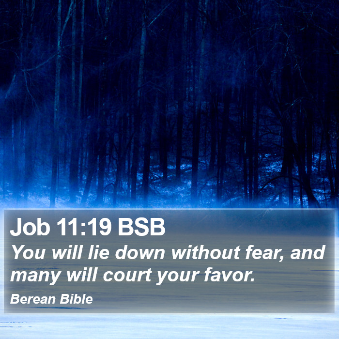 Job 11:19 BSB Bible Study