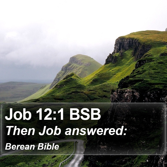 Job 12:1 BSB Bible Study