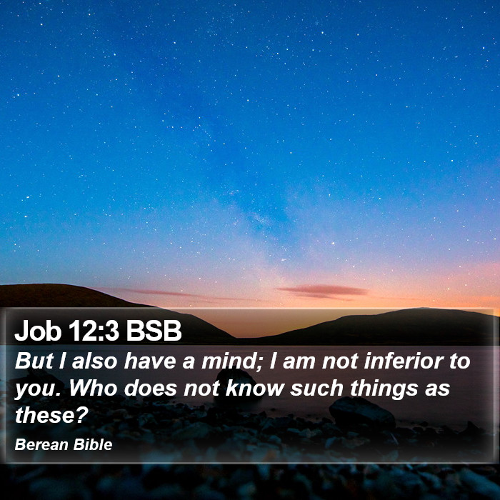 Job 12:3 BSB Bible Study