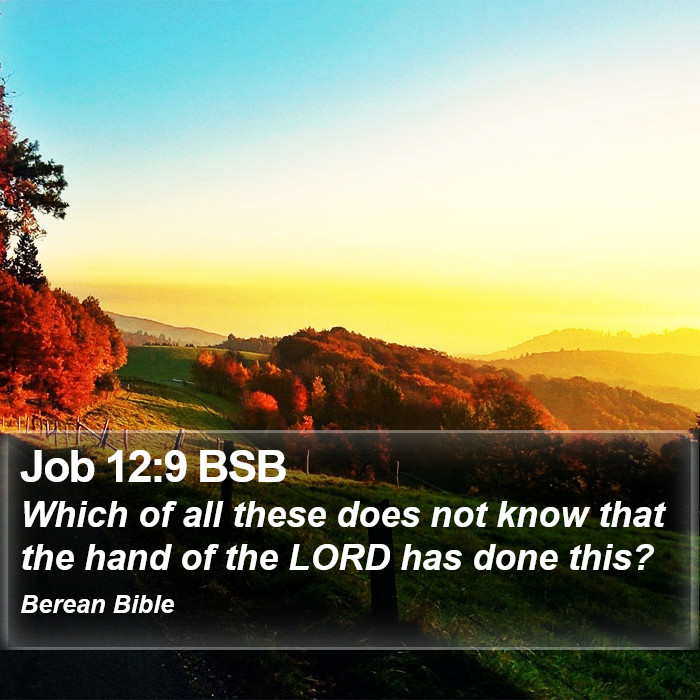 Job 12:9 BSB Bible Study