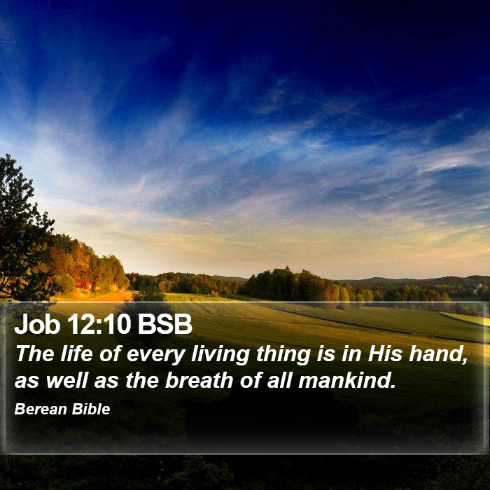 Job 12:10 BSB Bible Study