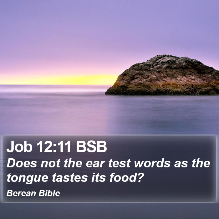 Job 12:11 BSB Bible Study