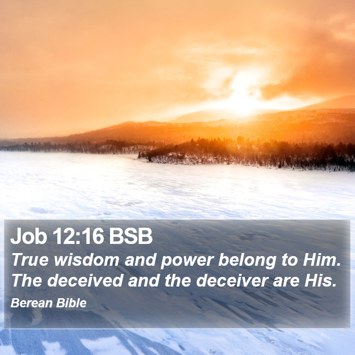 Job 12:16 BSB Bible Study