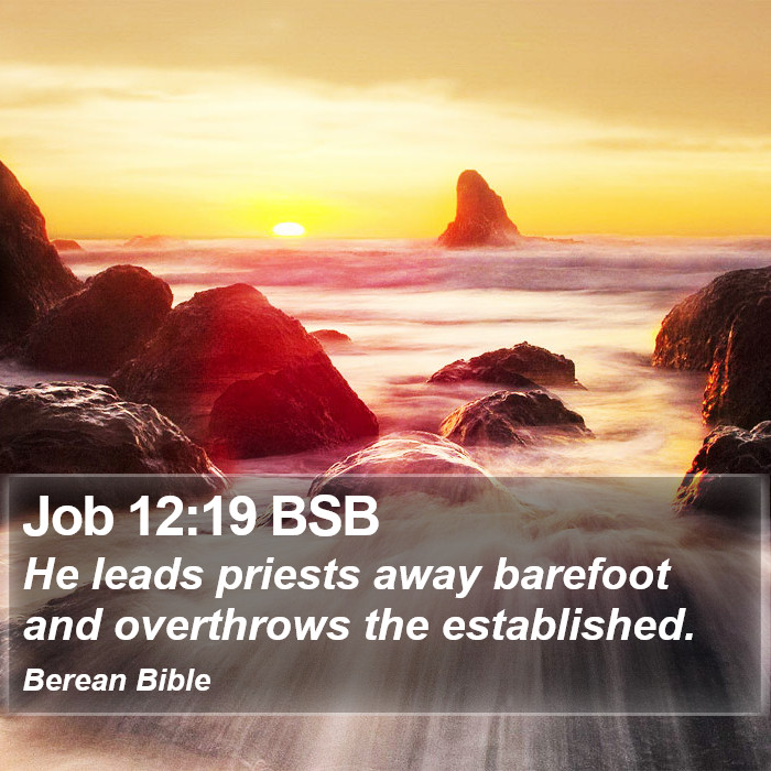 Job 12:19 BSB Bible Study