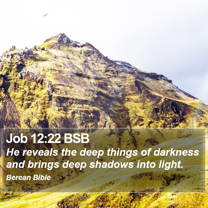 Job 12:22 BSB Bible Study