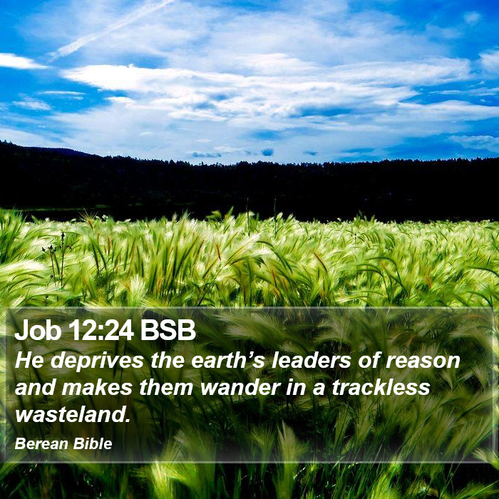 Job 12:24 BSB Bible Study