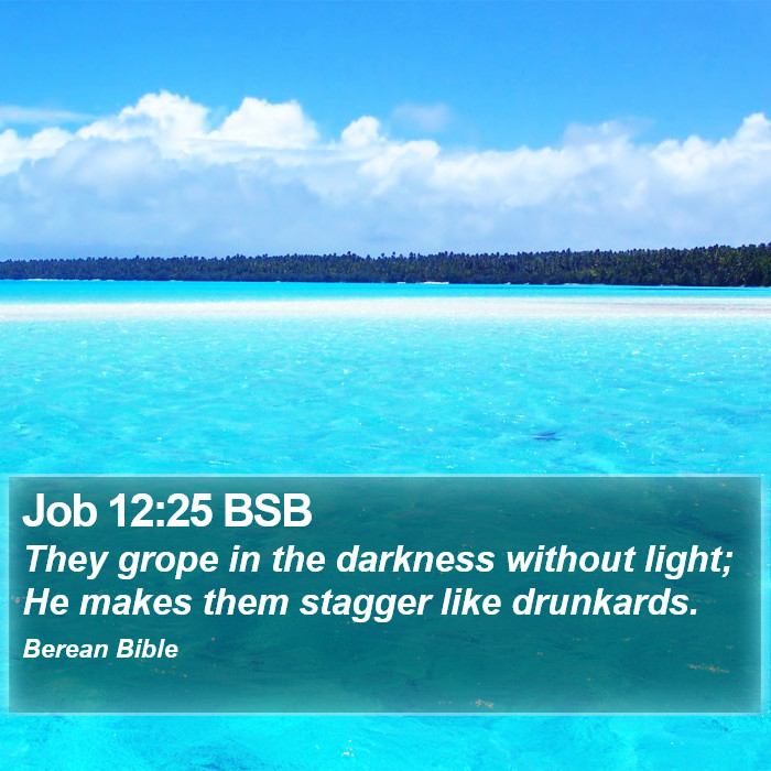 Job 12:25 BSB Bible Study