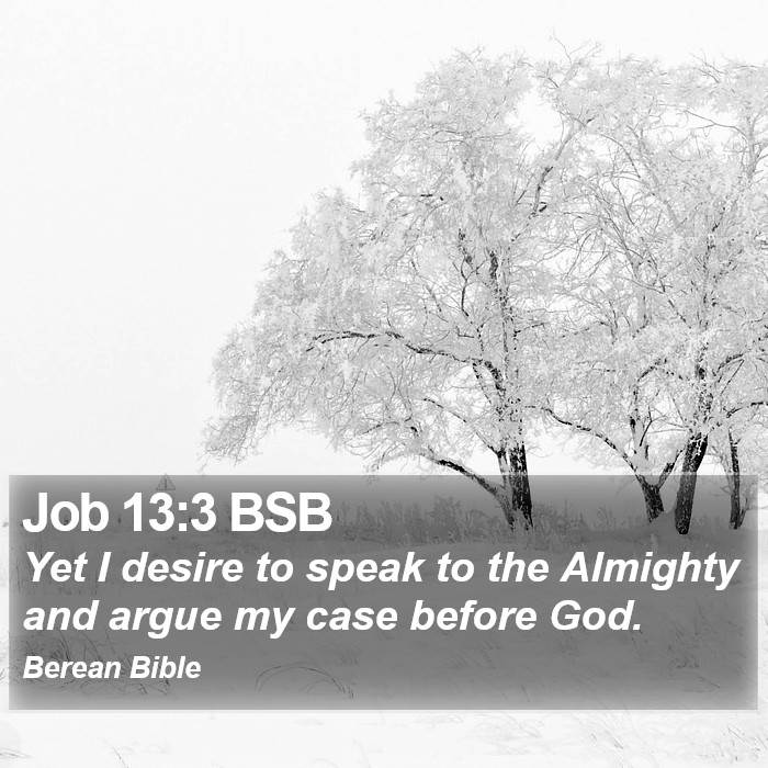 Job 13:3 BSB Bible Study