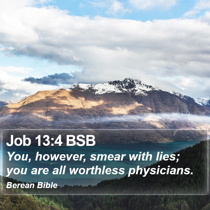 Job 13:4 BSB Bible Study