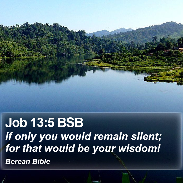 Job 13:5 BSB Bible Study